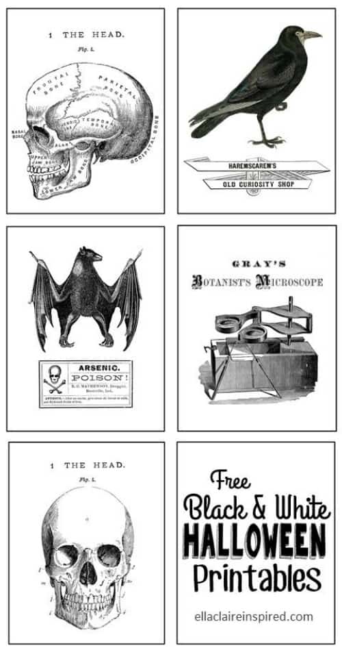 31-free-halloween-printables