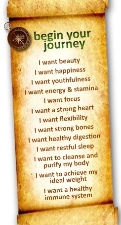 genesis-today-journey