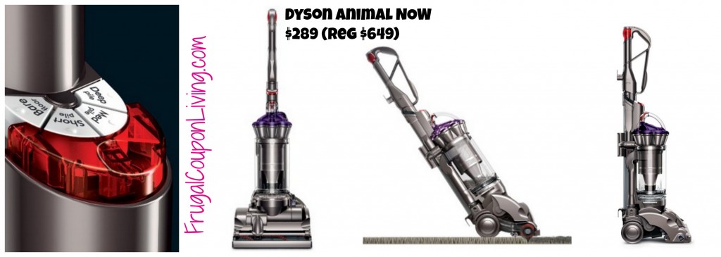DYSON Animal
