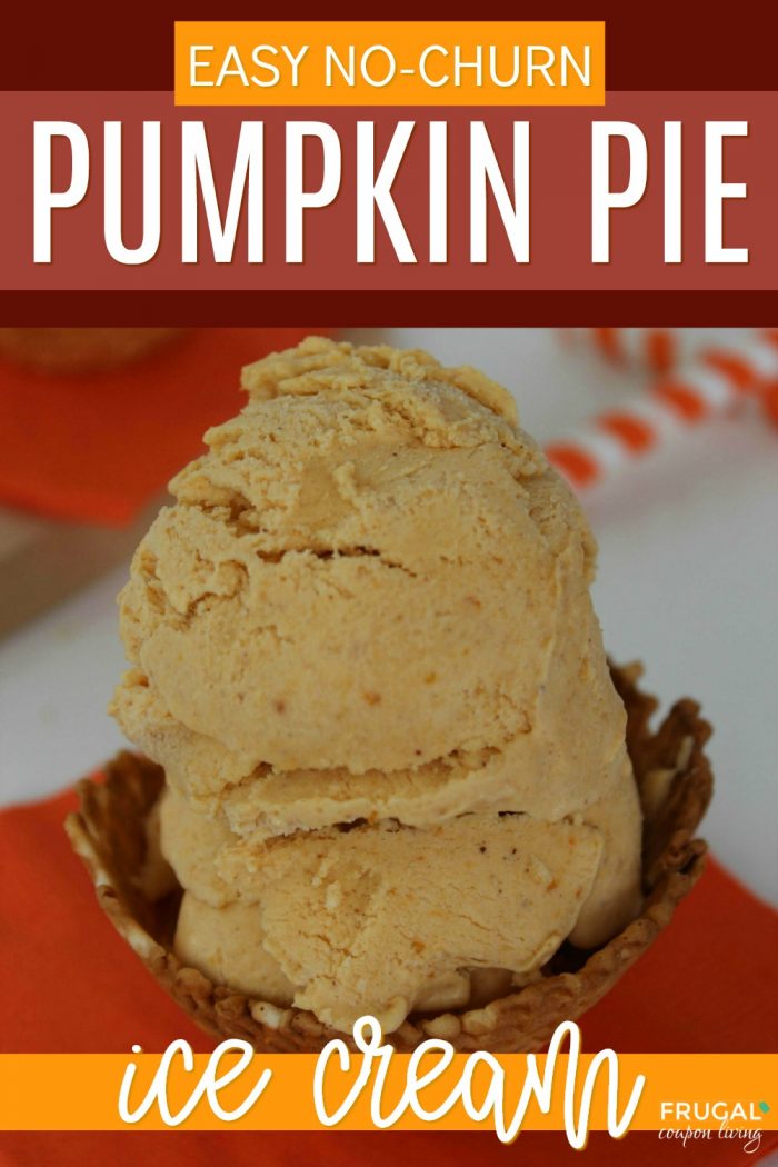 Pumpkin Pie Ice Cream Recipe with Canned Pumpkin