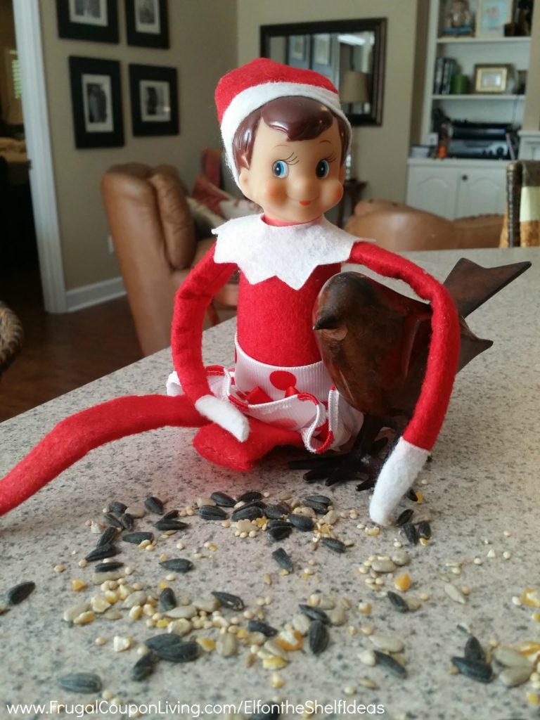 Elf-On-The-Shelf-Ideas-Frugal-Coupon-LIving-Birds