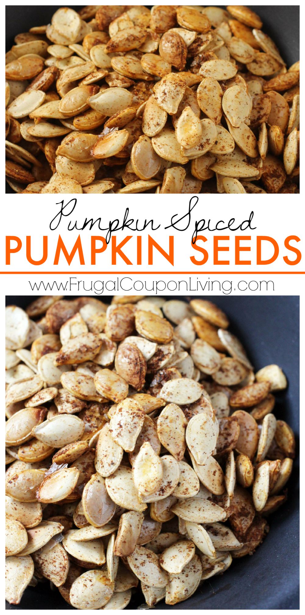 Pumpkin Spiced Pumpkin Seeds on Frugal Coupon Living