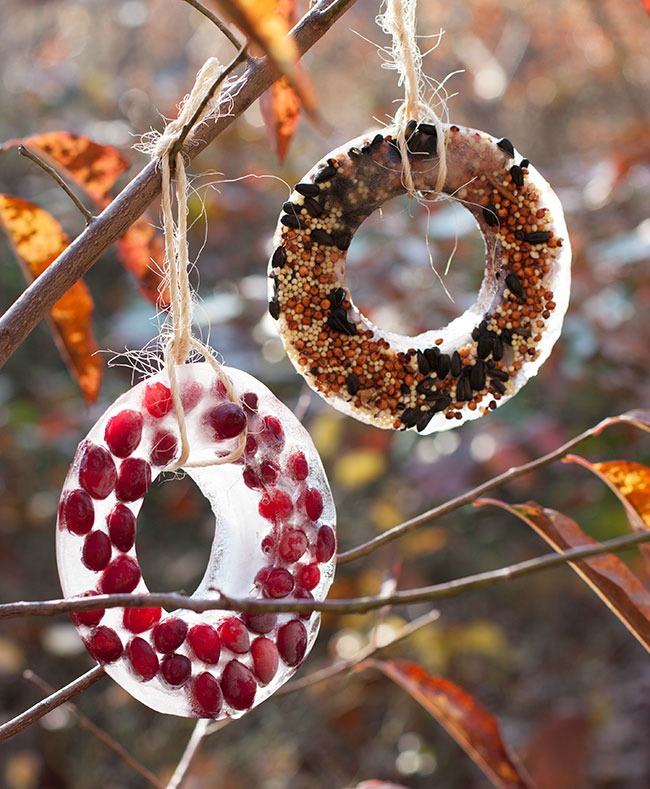bird-seed-ornament-smaller