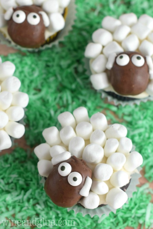 sheep-cupcakes