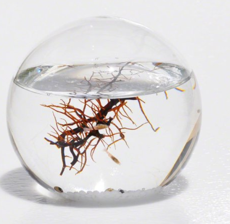 Screen Shot 2016-07-05 at 8.49.55 AM