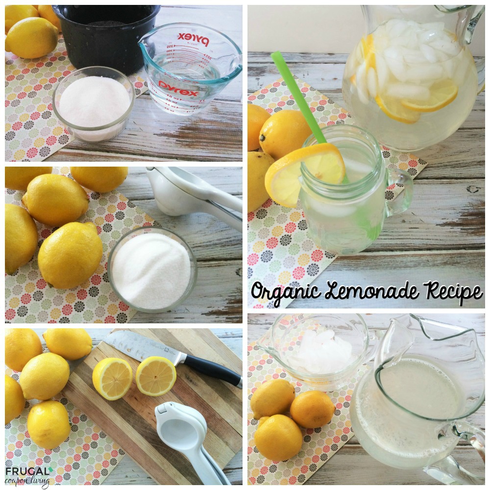 organic-lemonade-collage-fb-frugal-coupon-living