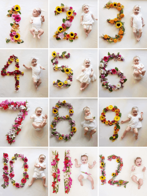 Flower-Number-Monthly-Baby-Photos