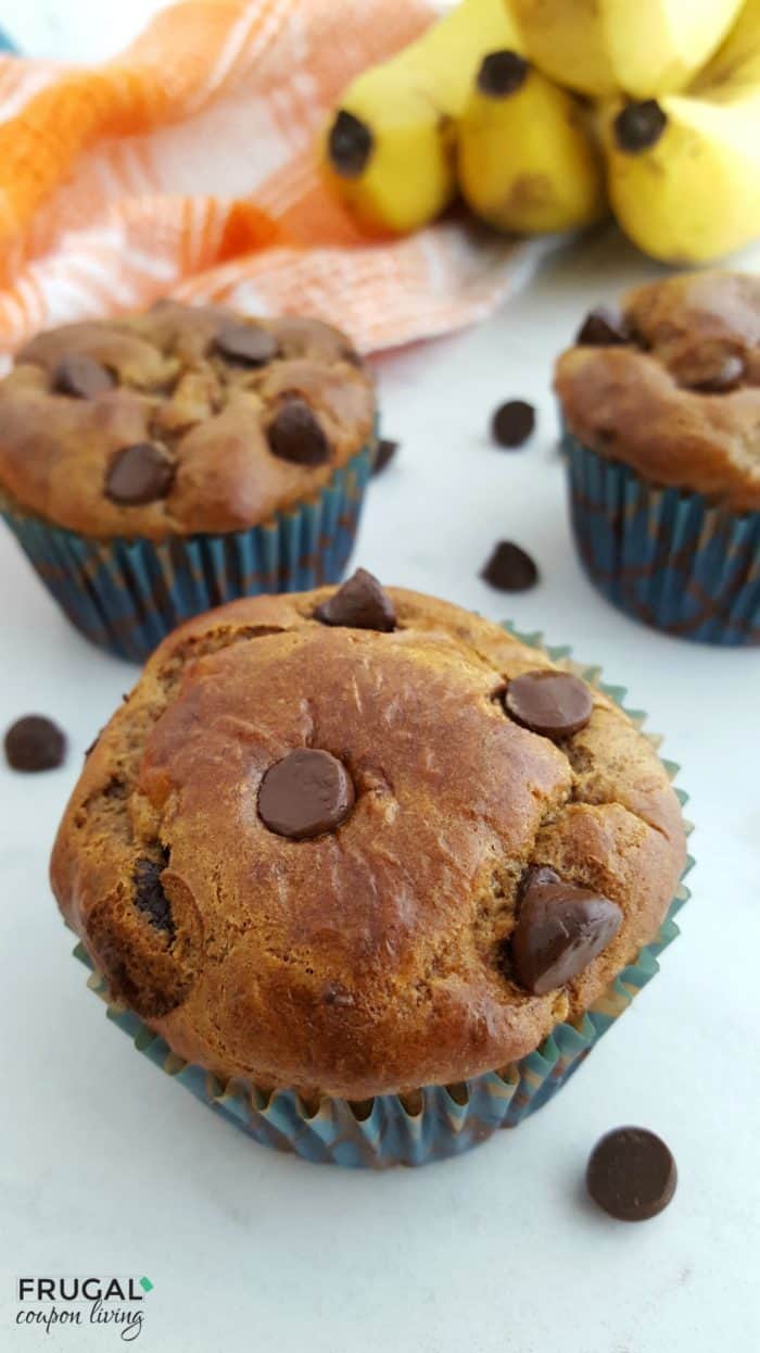 Chocolate Chip Muffins