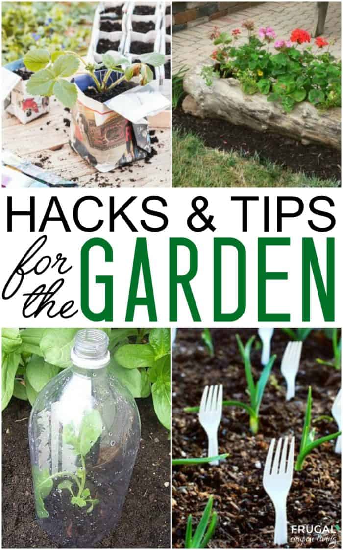 Gardening Hacks And Tips For The Wannabe Gardener