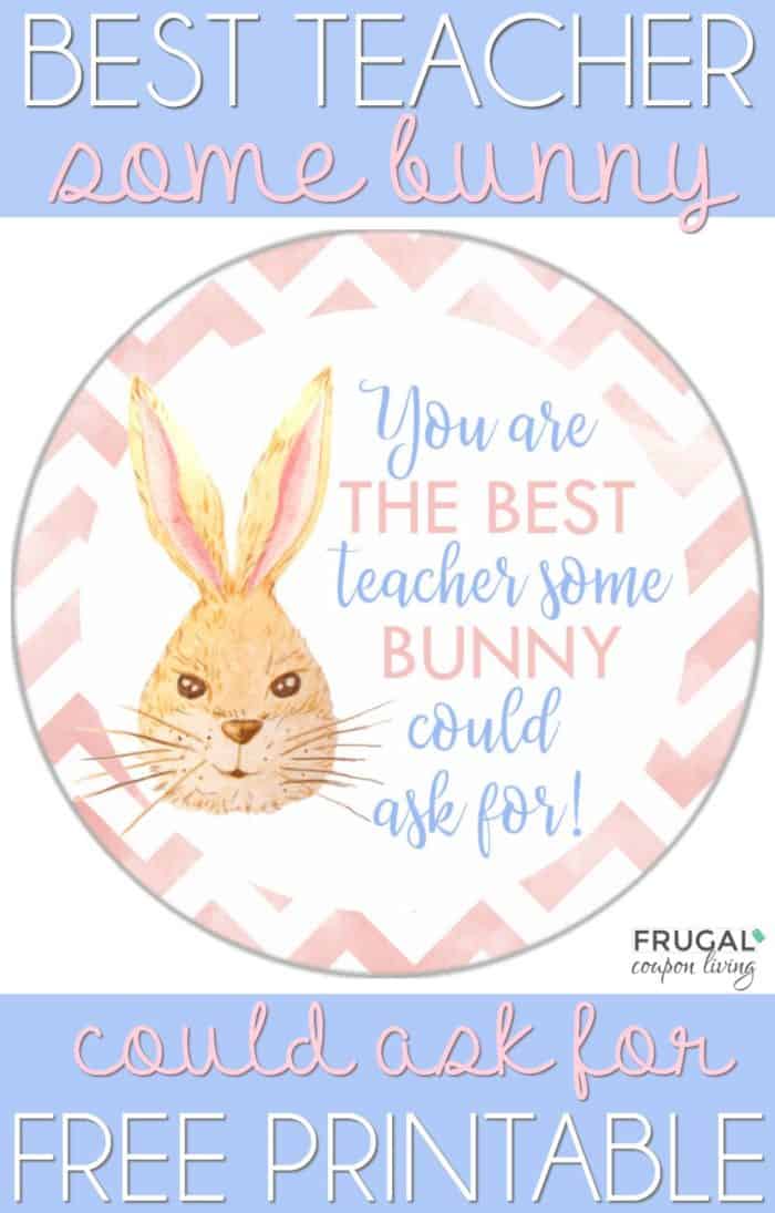 Best Teacher Some Bunny Could Ask For Printable