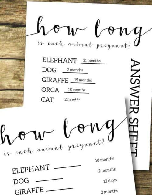 fun baby shower game