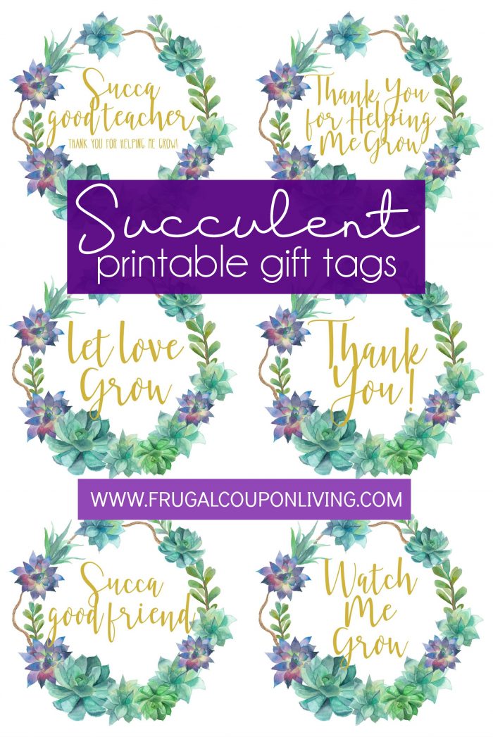 printable succulent gift tags