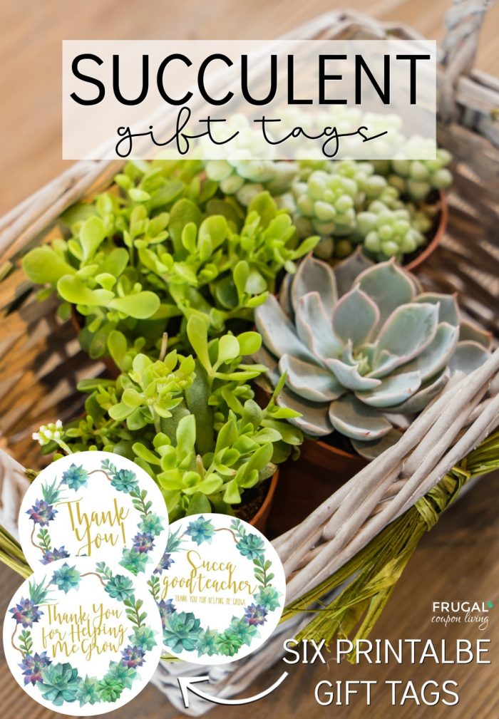 succulent gift tags and gift box frugal coupon living