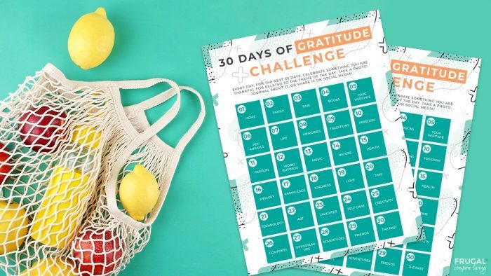 30 Day Gratitude Challenge Printable