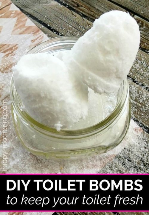 Homemade Toilet Bowl Cleaner