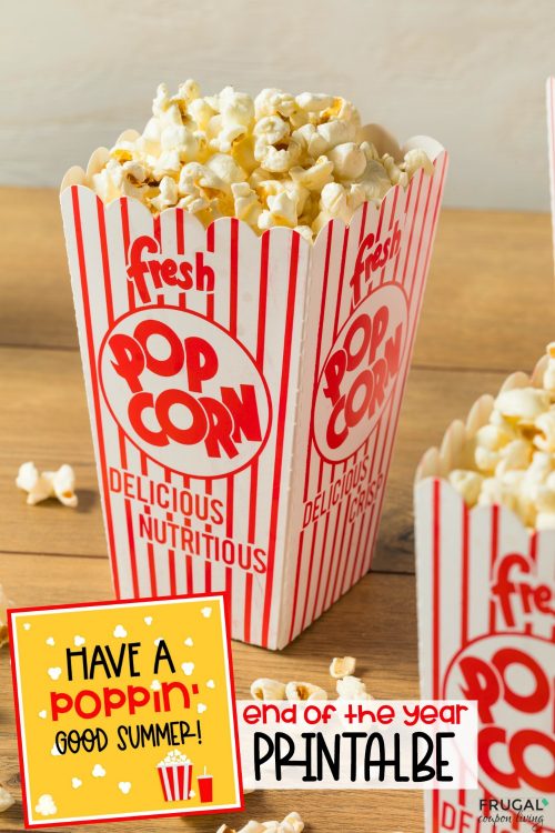Have a poppin good summer popcorn end of the year gift