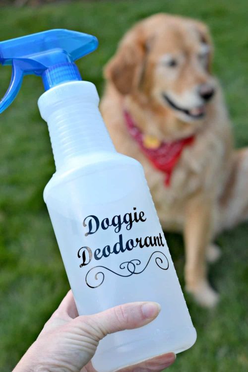 Homemade Deodorant for Dogs