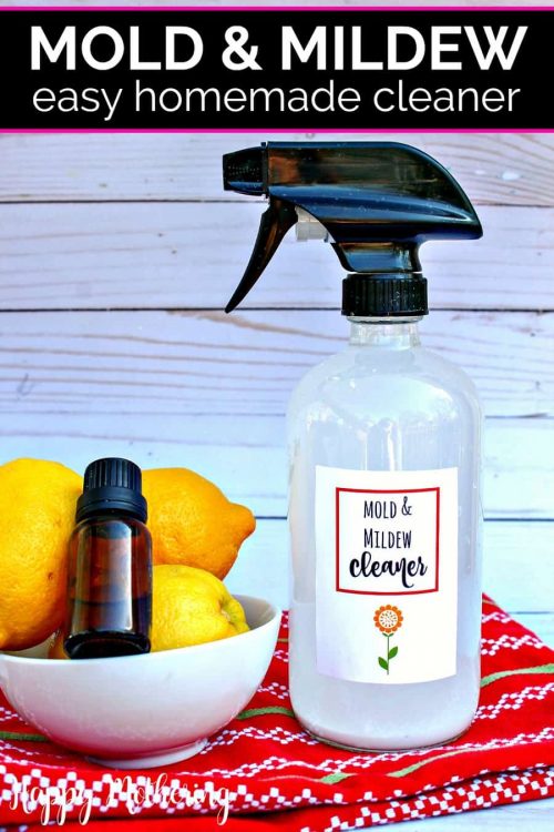mold and mildew homeade cleaner