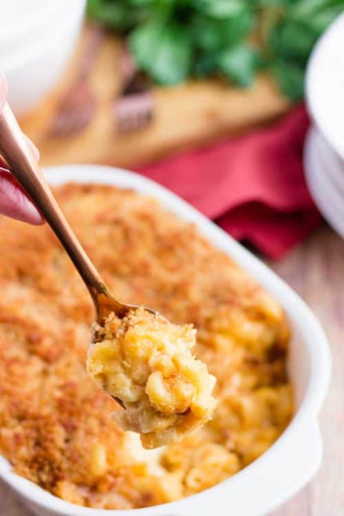 Baked Mac & Cheese | Thanksgiving Dinner Recipes