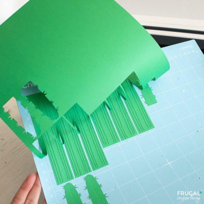 cricut design space cardstock paper cactus