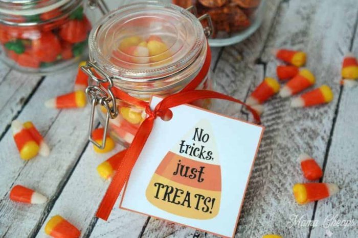 No Tricks Just Treats Halloween Mason Jar Gift