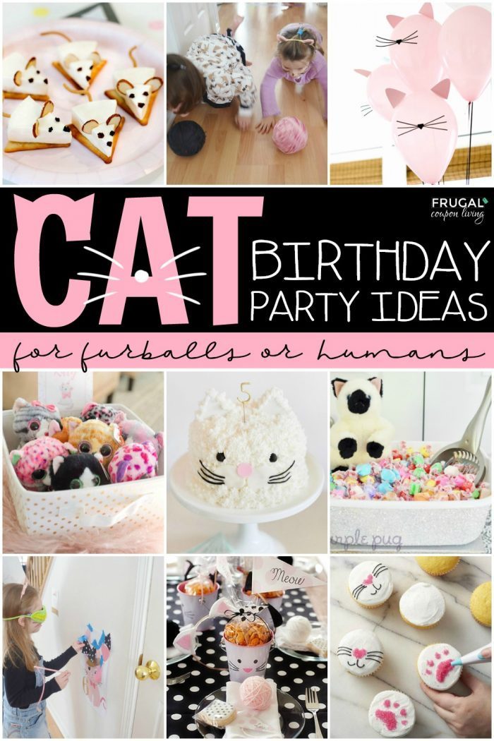 Cat Birthday Party Ides for Pets and Kids