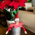 Elf on the Shelf Poinsettia Idea