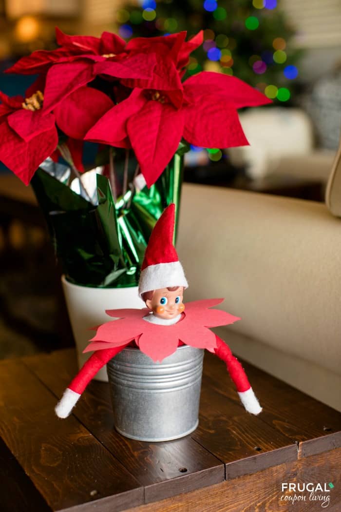 Elf on the Shelf Poinsettia Idea