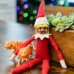 funny elf on the shelf tiger king joe exotic 2020 Pandemic Elf on the Shelf Idea