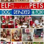 Elf on the Shelf with Elf Pets Ideas