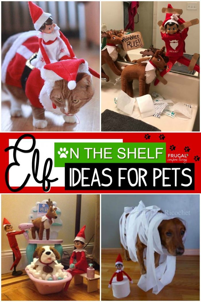 Elf Pets Elf on the Shelf Ideas