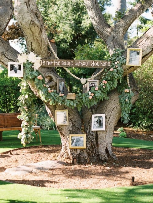 Wedding Memorial Ideas Tree with Photographs + Cheap Wedding Decor