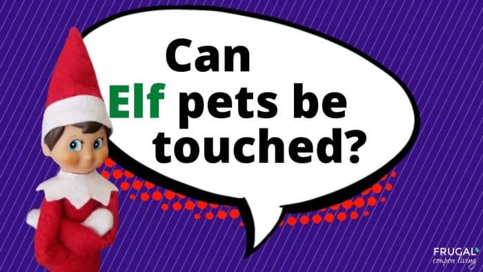 Can you touch Elf on the Shelf Pets