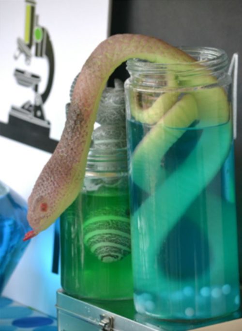 Mad Science Party Décor | Preserved Snake in a Jar
