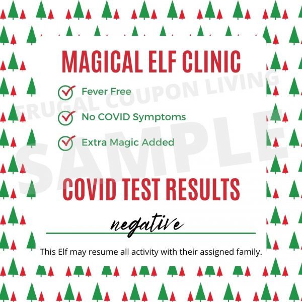 Elf on the Shelf Covid Test Results