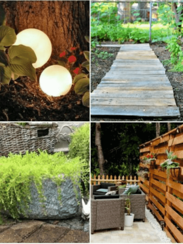 INEXPENSIVE BACKYARD LANDSCAPING IDEAS ON A BUDGET STORY