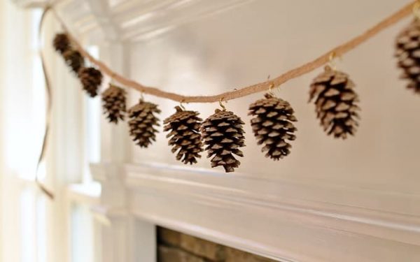 pinecone banner