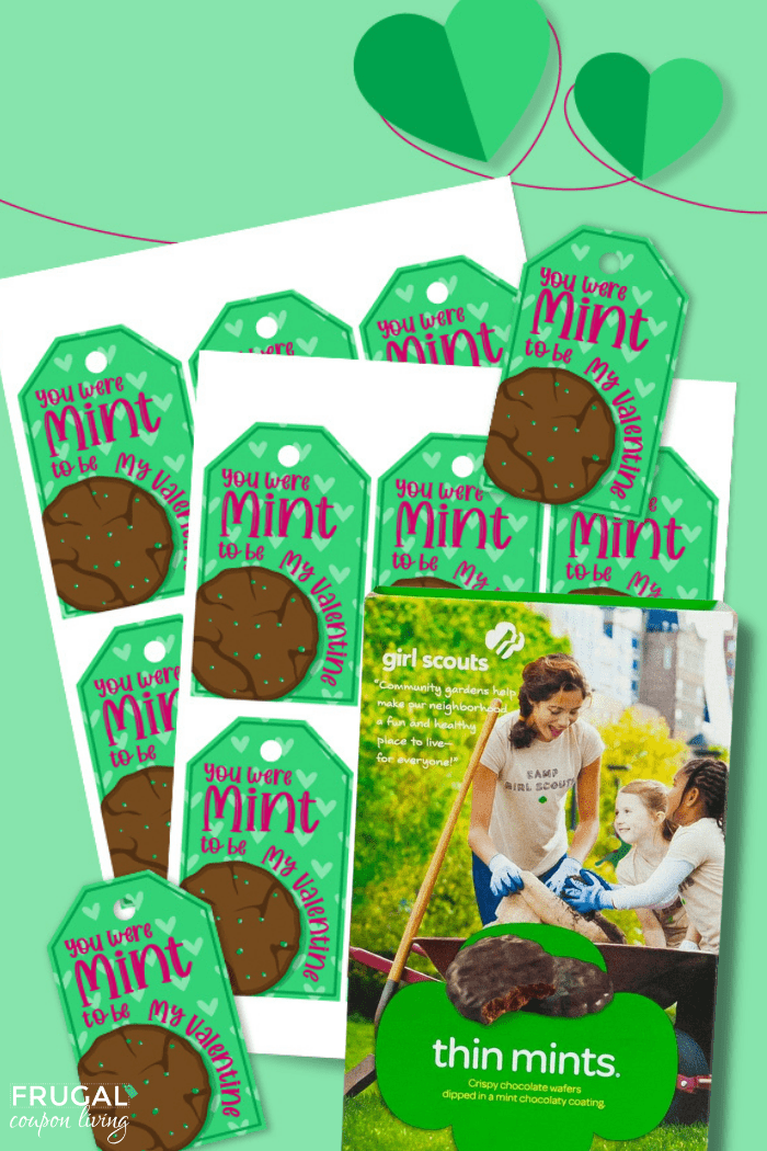 Girl Scout Valentine Cards for Thin Mint Cookies