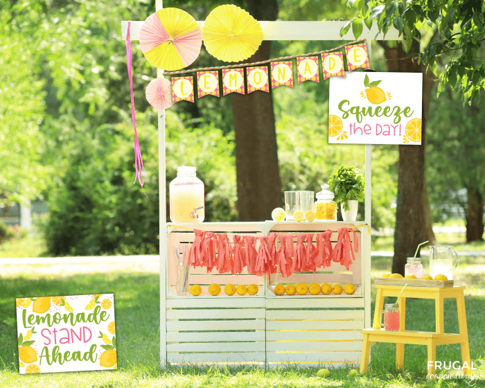 DIY Lemonade Stand Sign printable Set