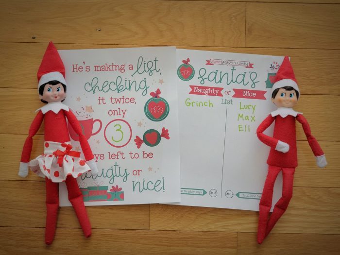 Elf on the shelf grinch on the naughty list