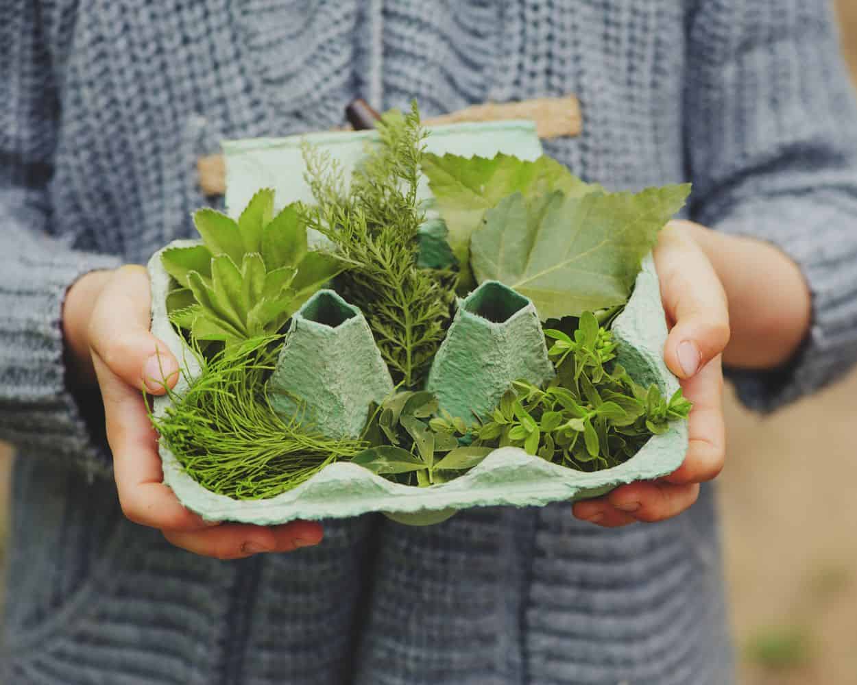 egg carton list of items to find on a nature scavenger hunt