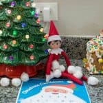 elf on the shelf santa beard countdown